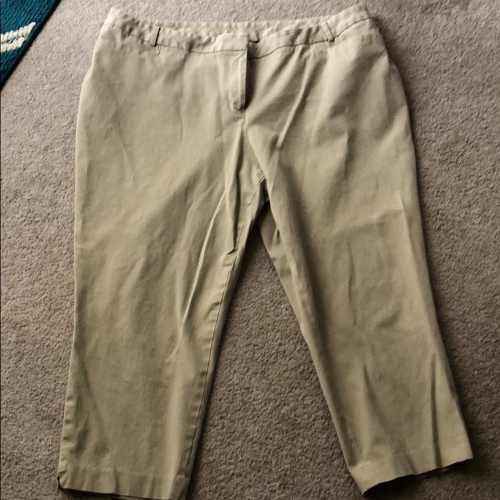 Lane Bryant above ankle khaki. Flat front size 24